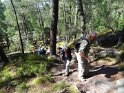 2014-06-05 16-59-07 Foret de Fontainebleau DLe